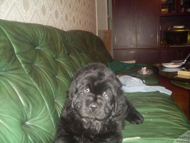 Фотография № 22088