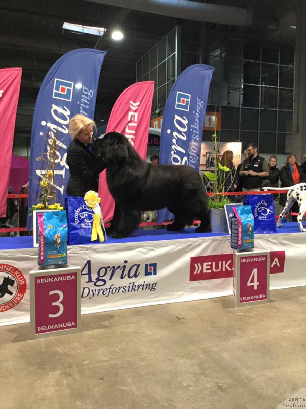 Фотография № 220893