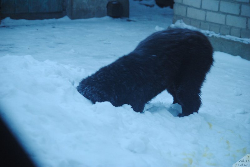 Фотография № 220902