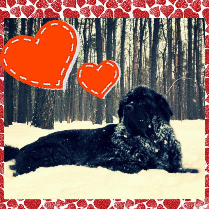 Фотография № 220903