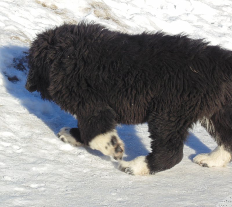 Фотография № 220938