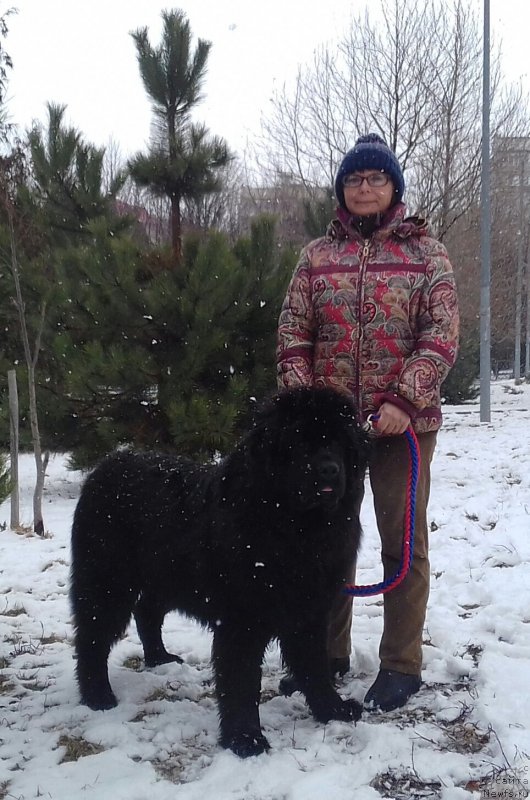 Фотография № 220958