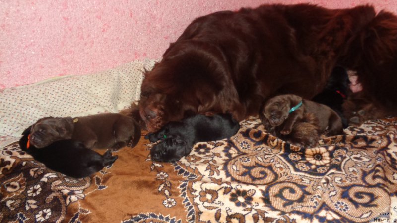 Фотография № 220959