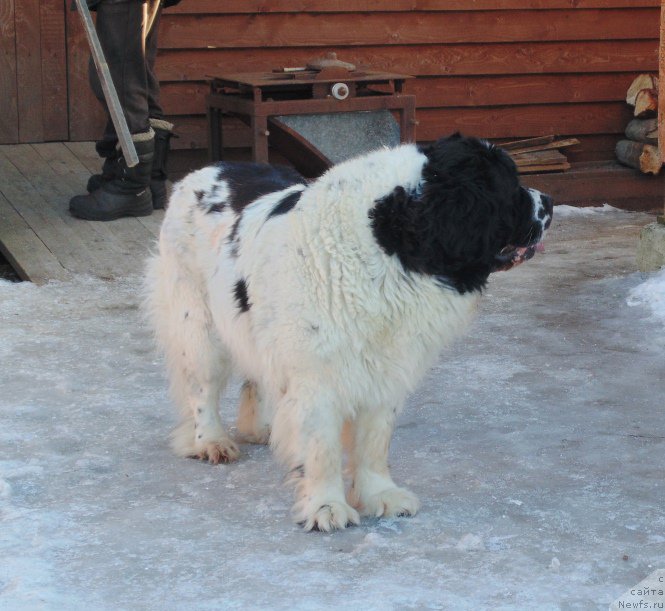 Фотография № 220962