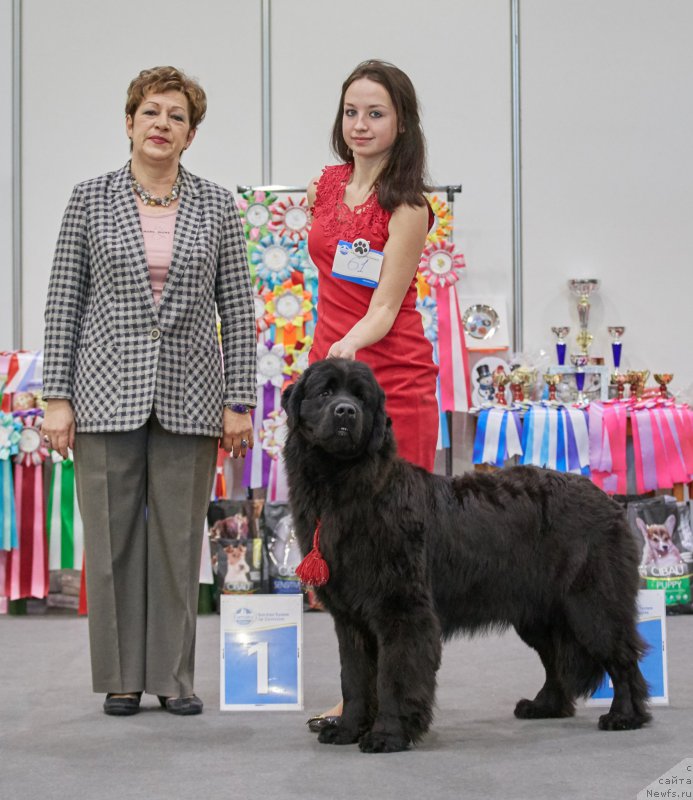 Фотография № 220966