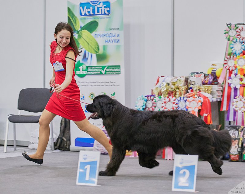 Фотография № 220967