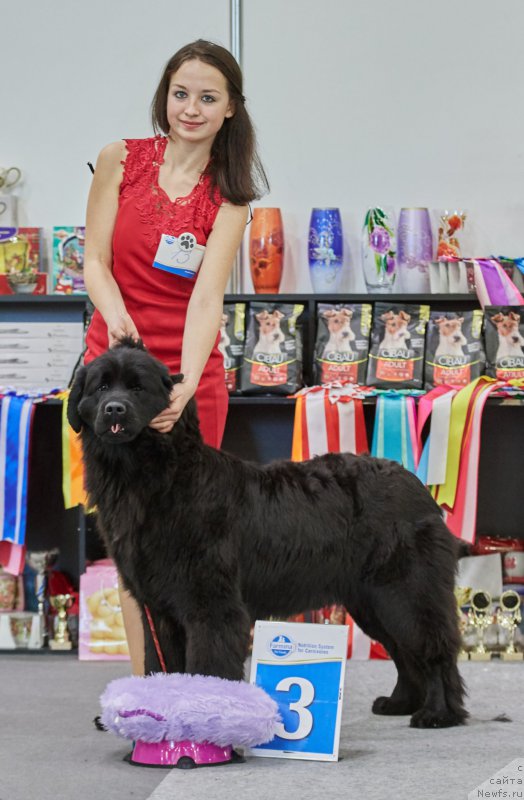 Фотография № 220968