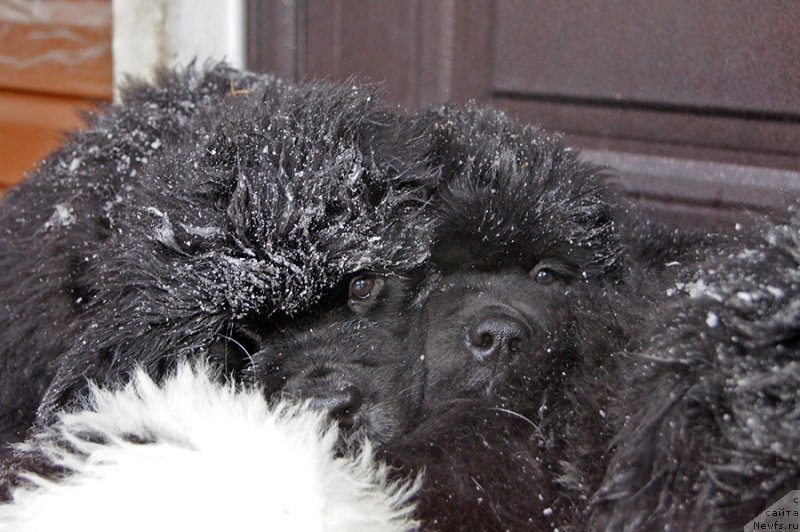 Фотография № 220971