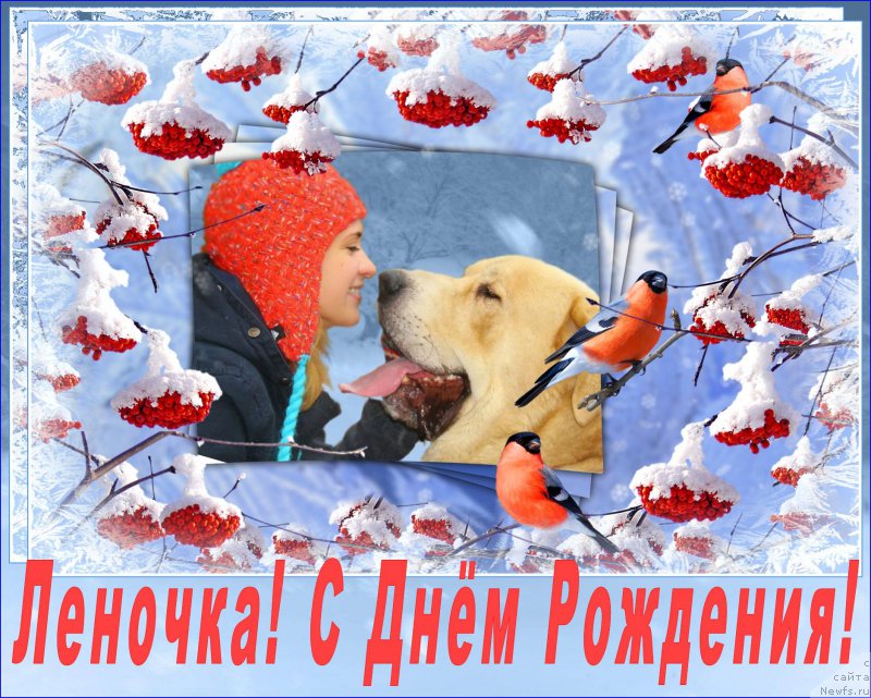 Фотография № 220984