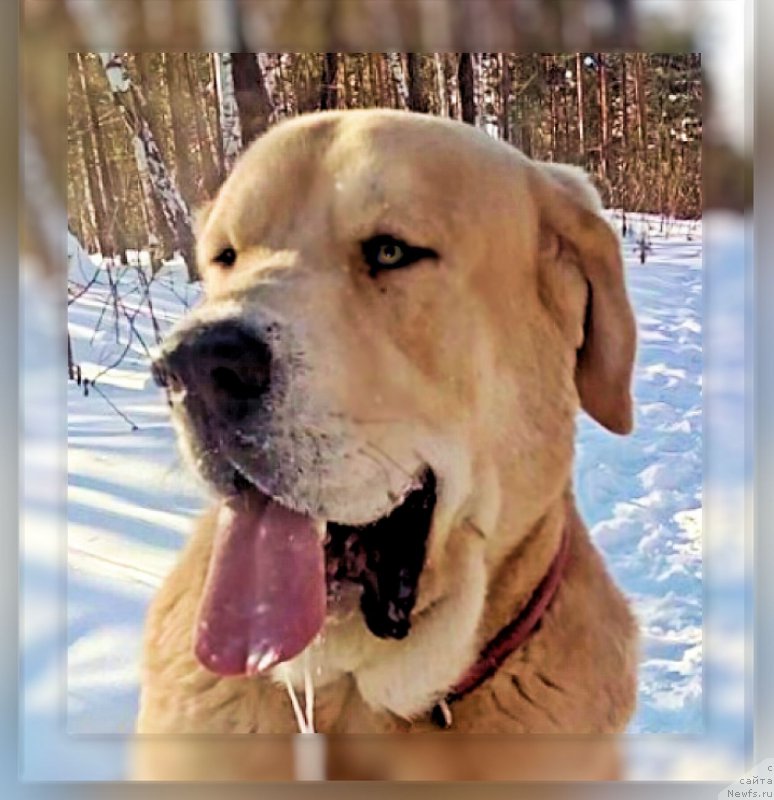 Фотография № 220989