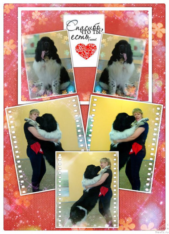 Фото: Наталья Якимова