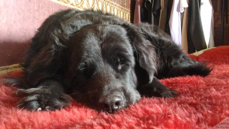 Фотография № 221031