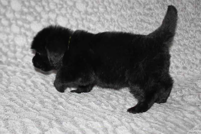 Фотография № 221046