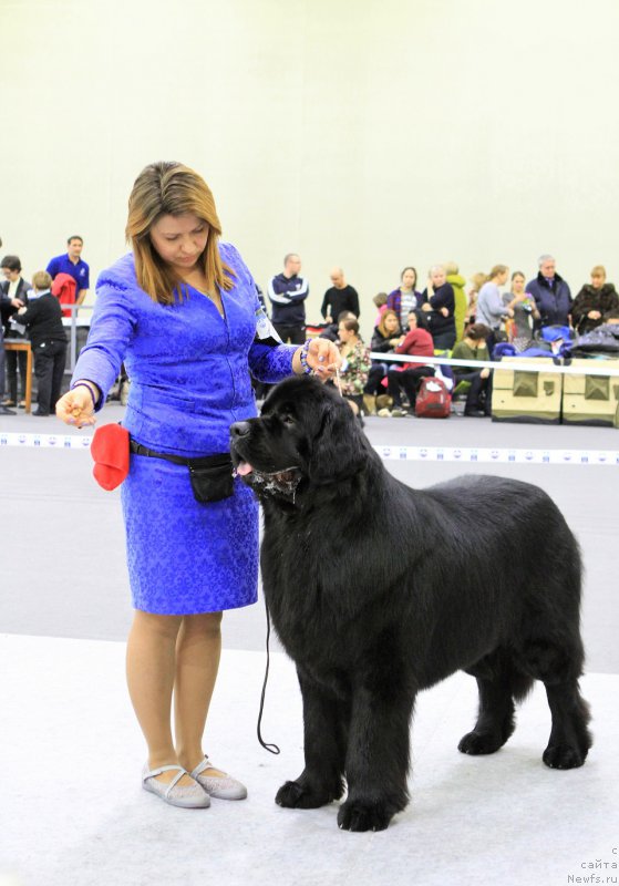 Фотография № 221069