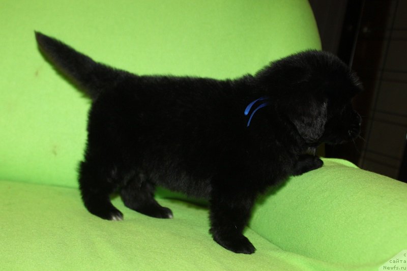 Фотография № 221079