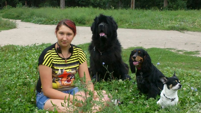 Фото: ньюфаундленд Сент Джонс Улла для Кара Аюлар (Sent Djons Ulla for Kara Ayular)