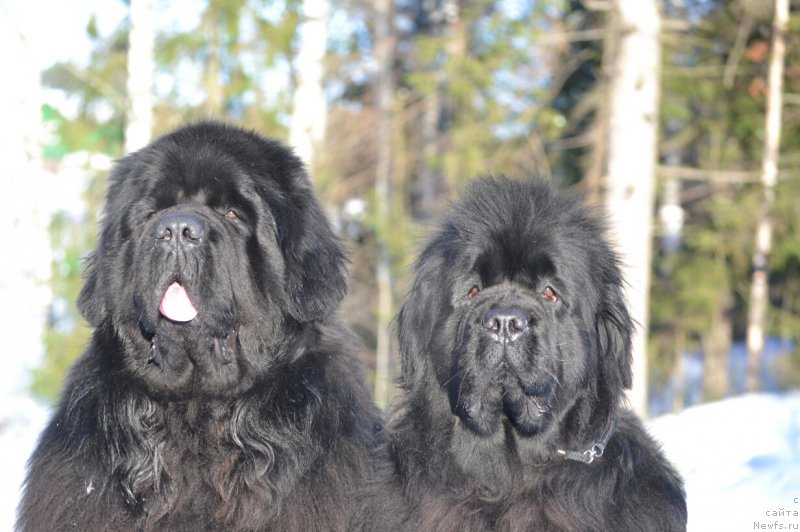 Фотография № 221142