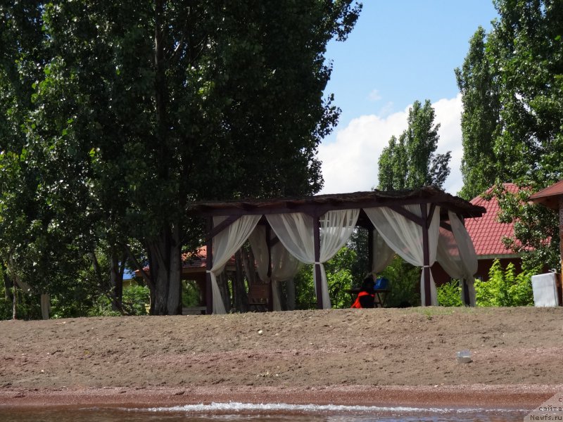 Фото: ньюфаундленд Женевьев Гарни Ледэн