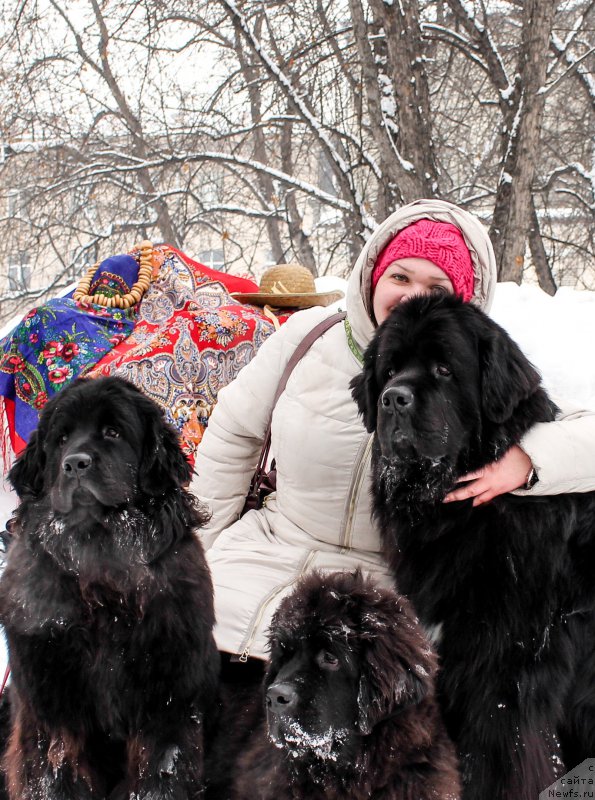 Фотография № 221211