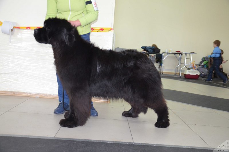 Фотография № 221212