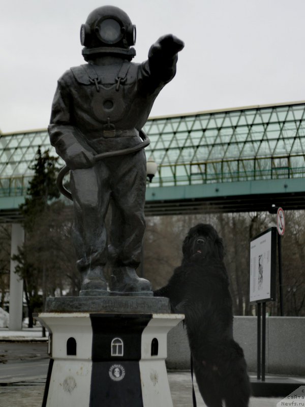 Фотография № 221236