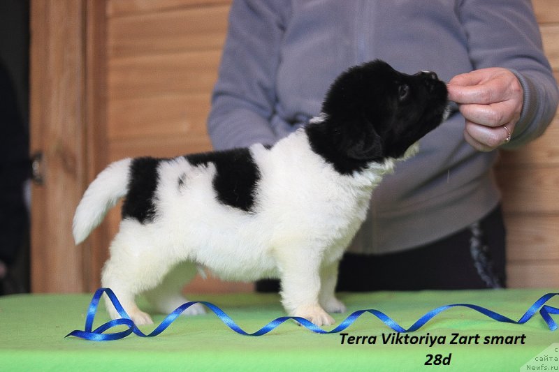 Фотография № 221243