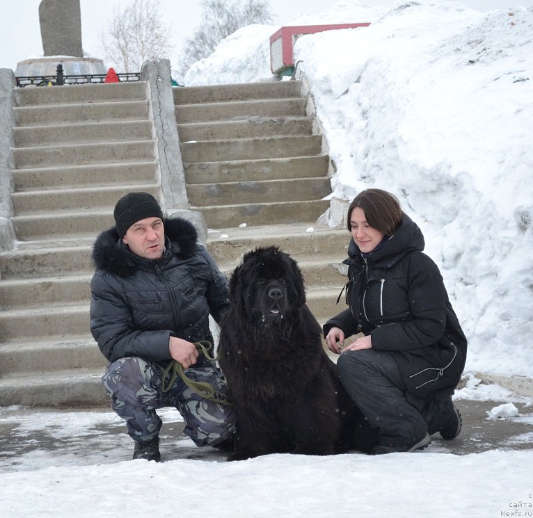 Фотография № 221258