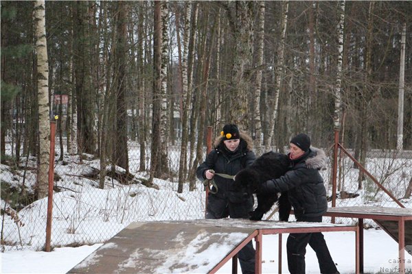 Фотография № 221264