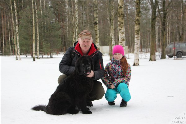 Фотография № 221268