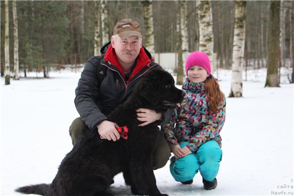 Фотография № 221269