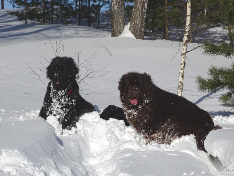 Фотография № 221276