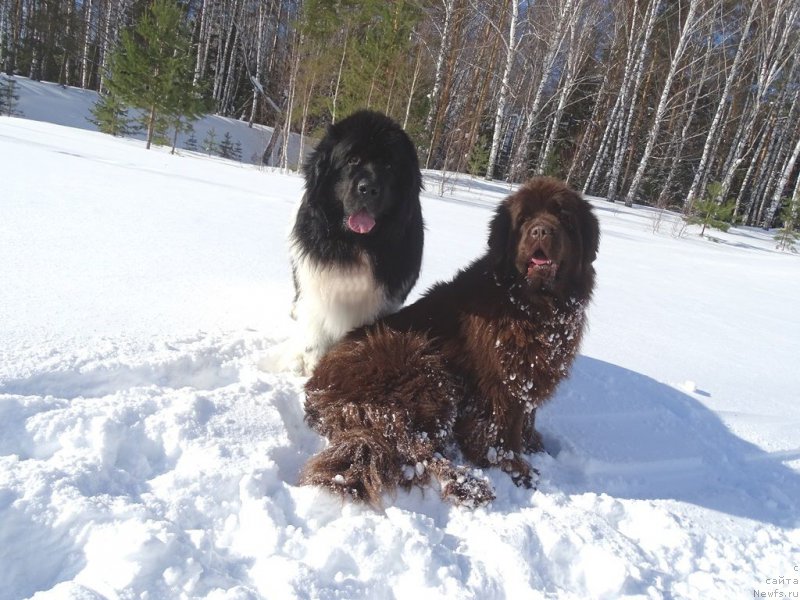 Фотография № 221278