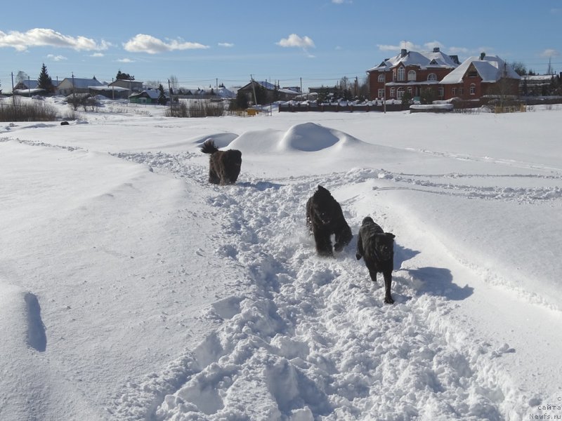 Фотография № 221284