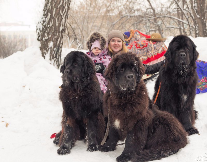 Фотография № 221311