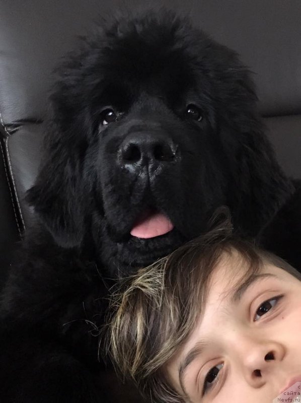 Фотография № 221319