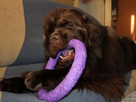 Фотография № 221325