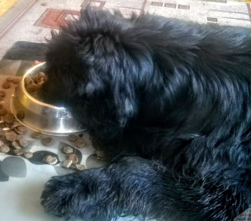 Фотография № 221329