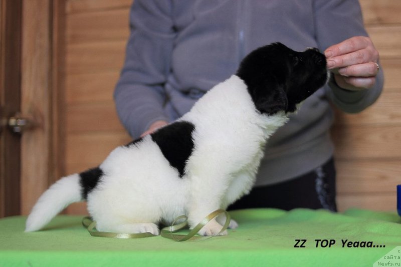 Фотография № 221354