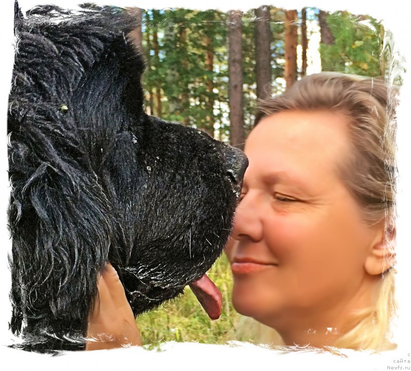 Фотография № 221371