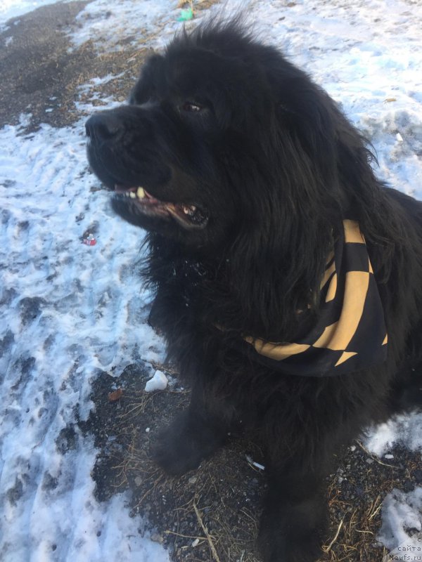 Фото: Тамара Медведева