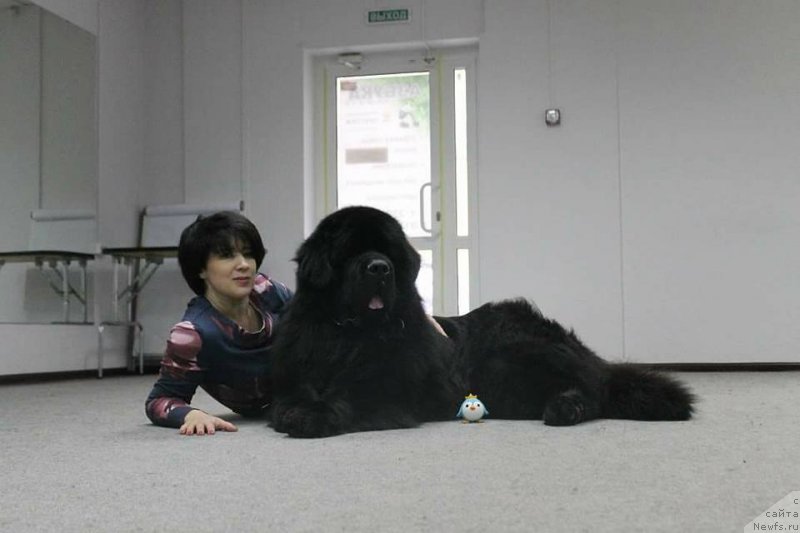 Фотография № 221460