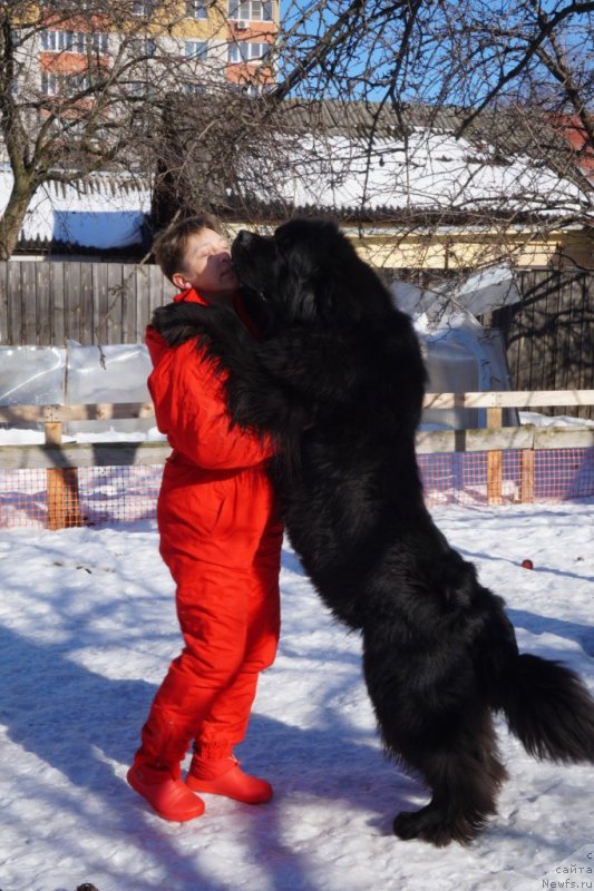 Фотография № 221505