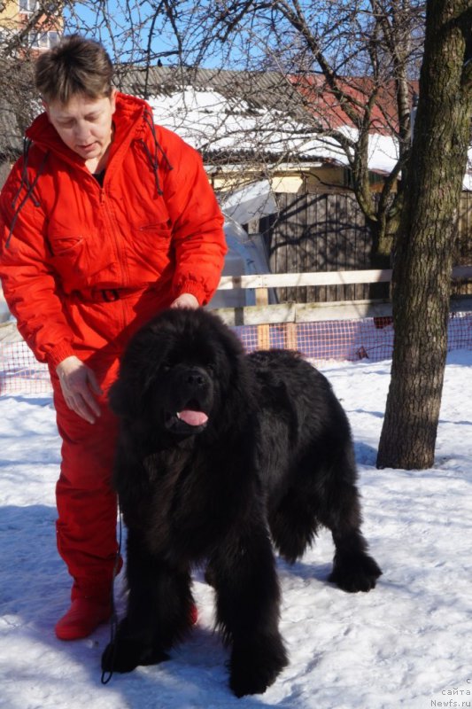 Фотография № 221507