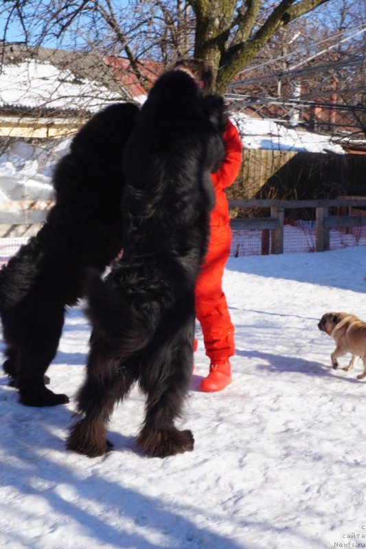 Фотография № 221509