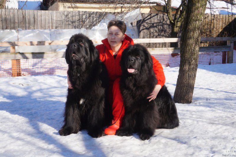 Фотография № 221510