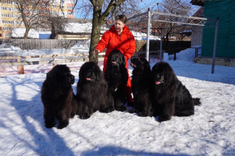 Фотография № 221511