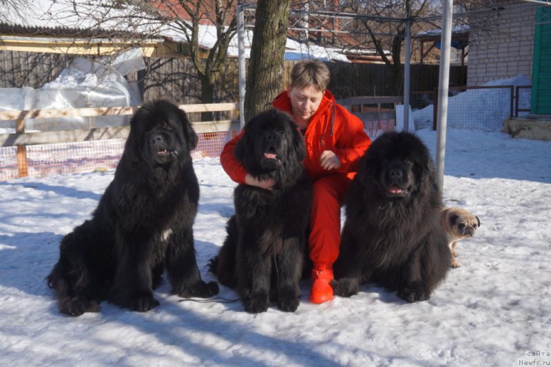 Фотография № 221512