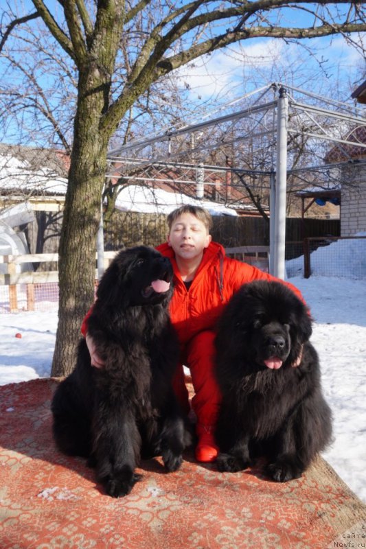 Фотография № 221513