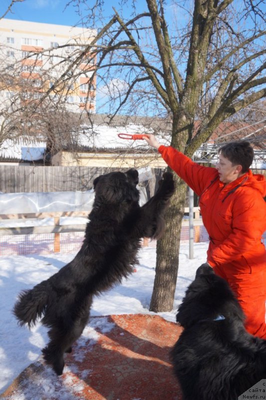 Фотография № 221514