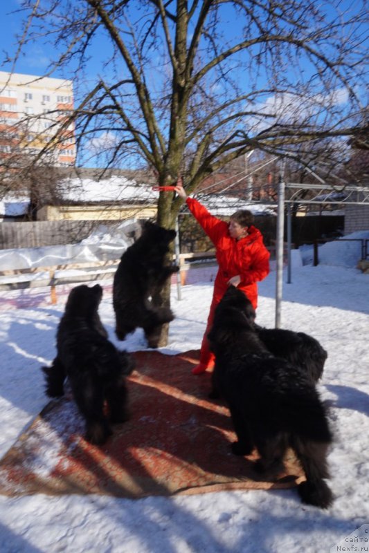 Фотография № 221515